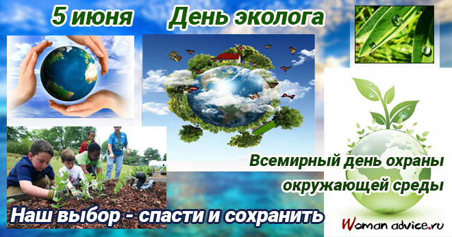 День эколога (Всемирный день охраны окружающей среды) 2024 - открытка