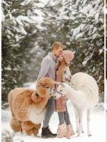 Зимняя фотосессия - идеи для красивых и оригинальных фотографий