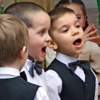 развитие певческих навыков у дошкольников
