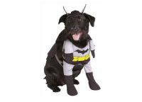 Для собаки костюм бэтмэна -1