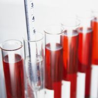 эритремия анализ крови