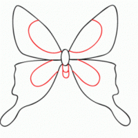 как нарисовать бабочку 12