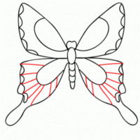 как нарисовать бабочку 14