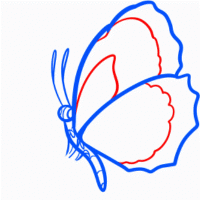 как нарисовать бабочку 21