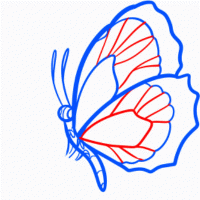 как нарисовать бабочку 22