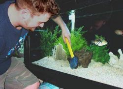 Как мыть аквариум1