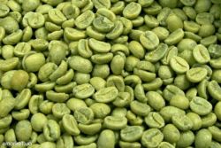 польза и свойства зеленого кофе