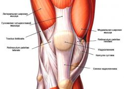 Растяжение связок коленного сустава лечение