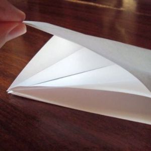Как сделать из бумаги попугая 10