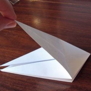 Как сделать из бумаги попугая 13