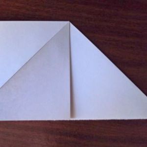 Как сделать из бумаги попугая 6