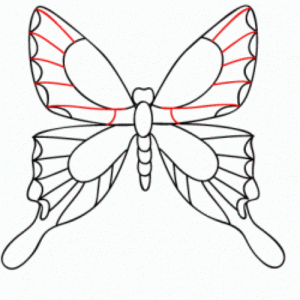 как нарисовать бабочку  15