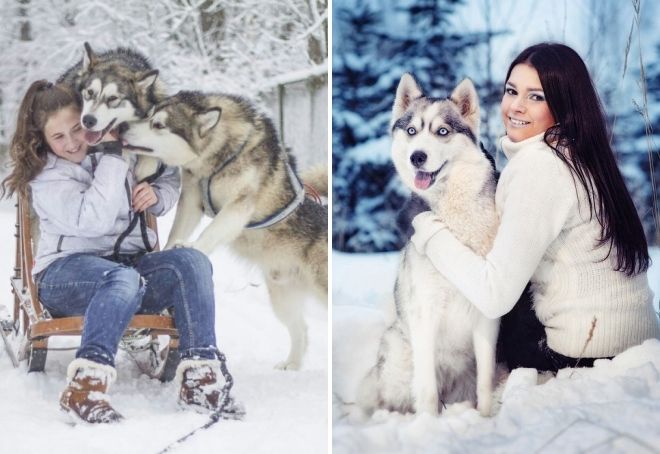зимняя фотосессия с собакой