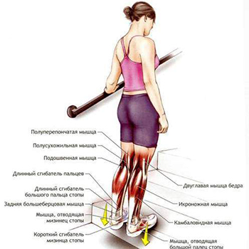 как похудеть в ногах не накачивая мышцы2