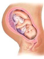 Цервикальный канал при беременности