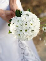 К чему дарят белые цветы?