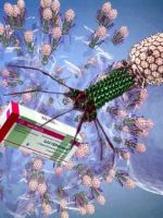 Война миров – бактериофаги против инфекции