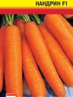 Морковь «Нандрин»